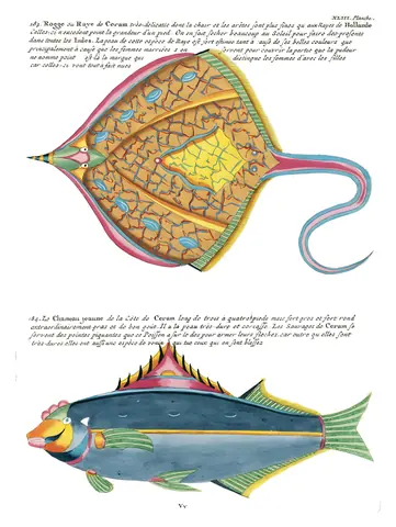 Peces de Renard, lámina XLIII, Louis Renard, 1754