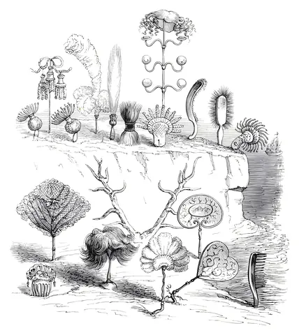 Jardín de tocador, J. J. Grandville, 1844