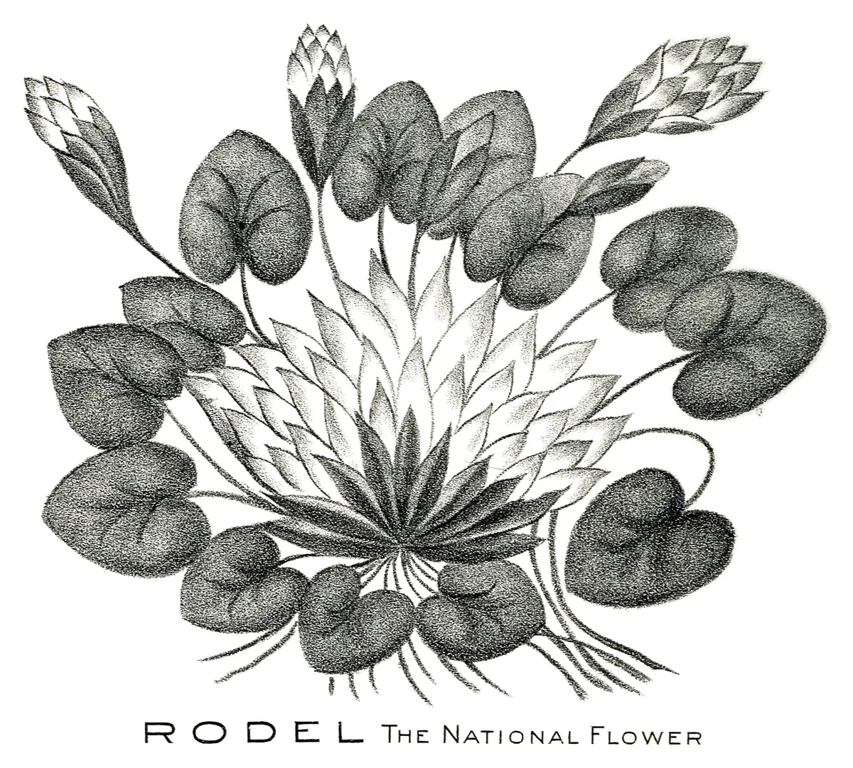 Rodel, la flor nacional, Sara Weiss, 1903