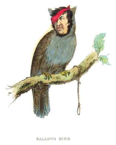 Pájaro de horca, Henry L. Stephens, 1851