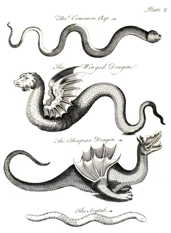 Historia natural de las serpientes, lámina II, Charles Owen, 1742