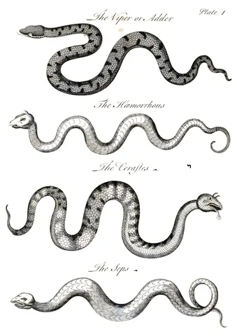 Historia natural de las serpientes, lámina I, Charles Owen, 1742