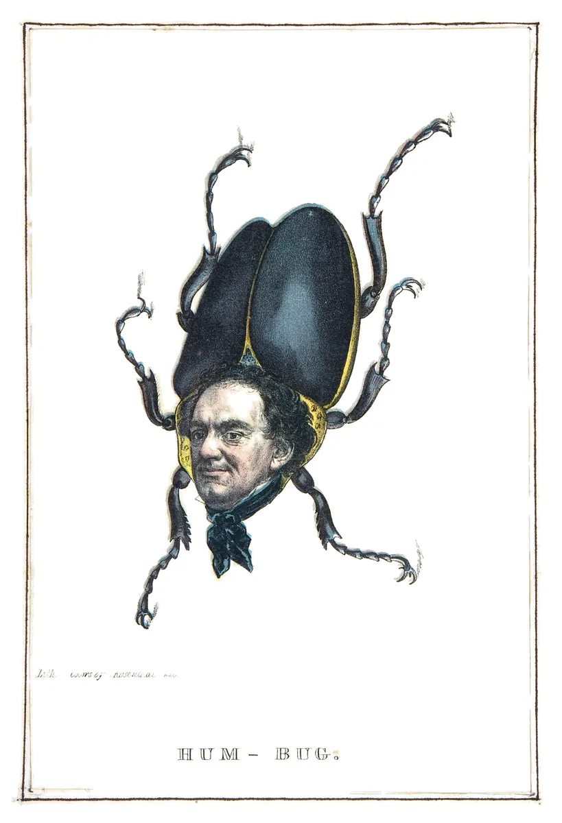 Escarabajo embaucador, Henry L. Stephens, 1851