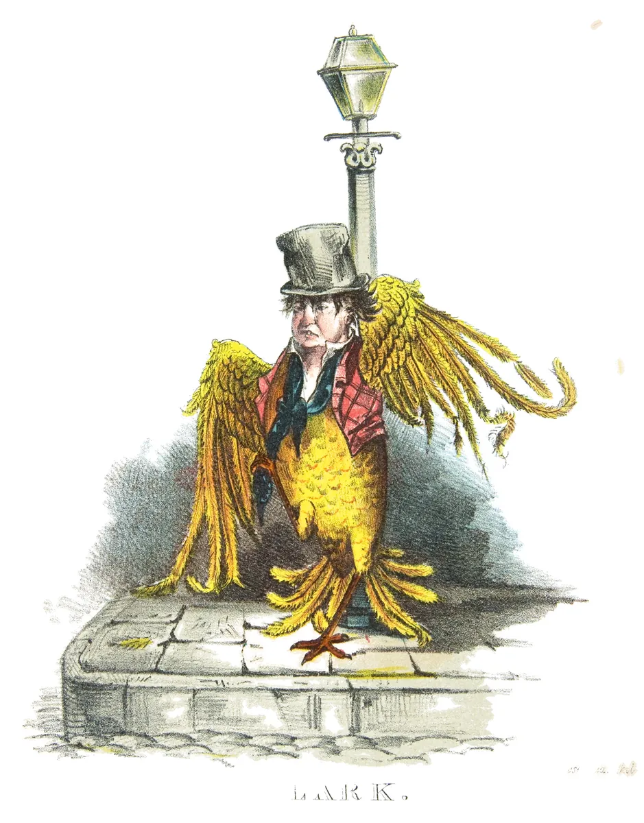 Alondra, Henry L. Stephens, 1851