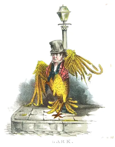 Alondra, Henry L. Stephens, 1851