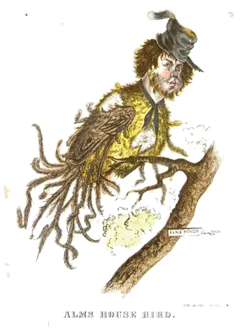 Pájaro de asilo, Henry L. Stephens, 1851