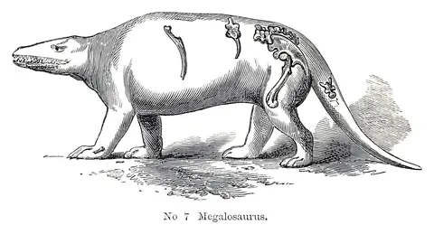 Megalosaurio, Benjamin Waterhouse Hawkins, 1854