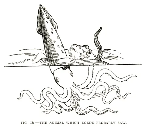 El animal que probablemente vio Egede, Henry Lee, 1883