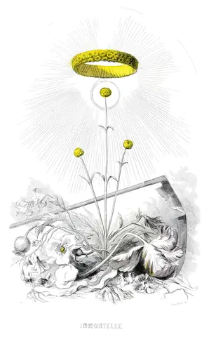 Siempreviva, J. J. Grandville, 1849