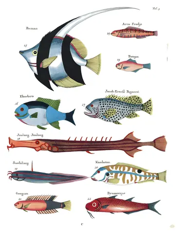 Peces de Renard, folio 3, Louis Renard, 1754